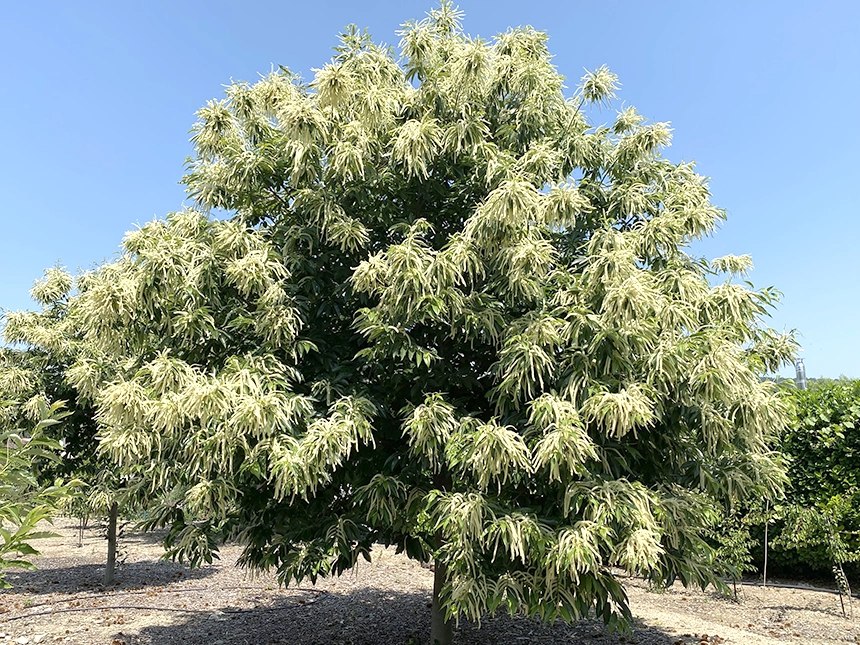 Real Results, Real Success