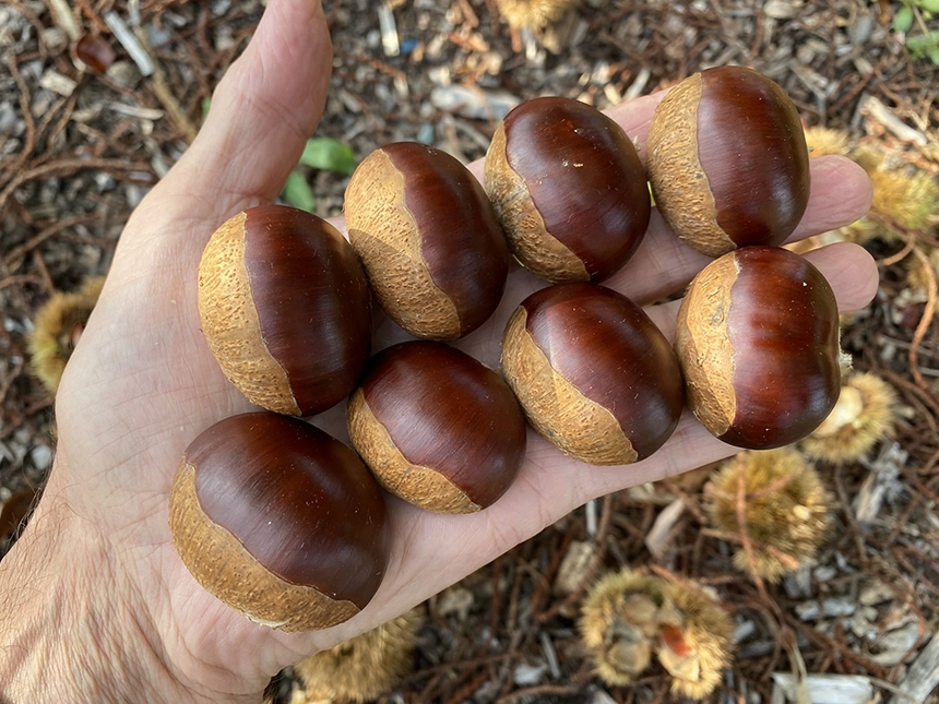 Real Results, Real Success